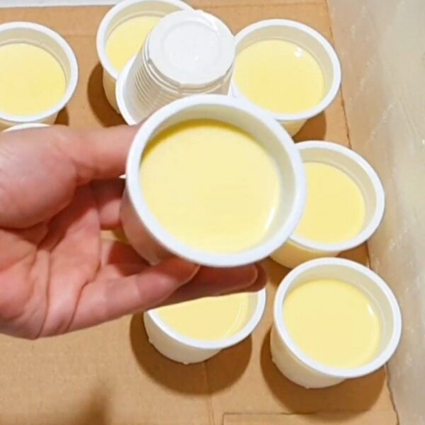 Khóa học làm sữa chua váng sữa ngon để kinh doanh