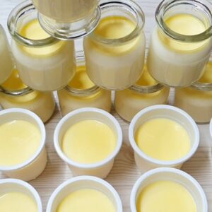 Khóa học làm sữa chua váng sữa ngon để kinh doanh